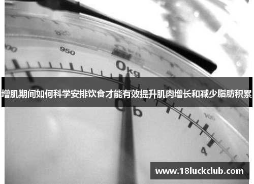 增肌期间如何科学安排饮食才能有效提升肌肉增长和减少脂肪积累