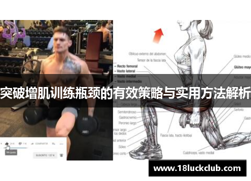 突破增肌训练瓶颈的有效策略与实用方法解析
